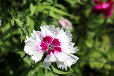 Similar image 21762608