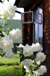 Similar image 21762645