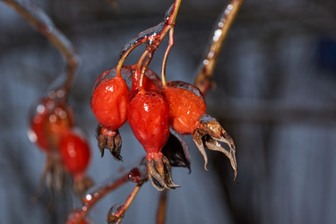 Similar image 21759112