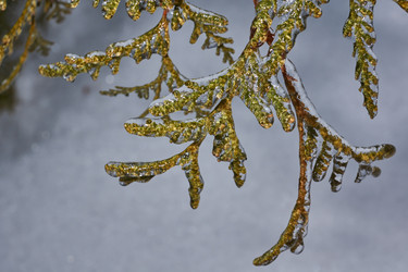 Similar image 21759113