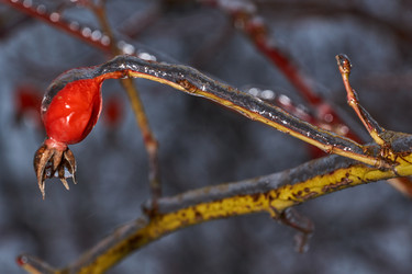 Similar image 21759114