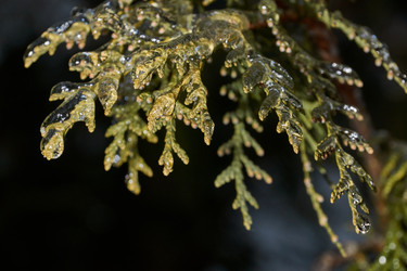 Similar image 21759115