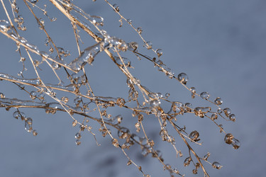 Similar image 21759116