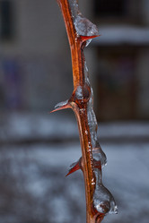 Similar image 21759117