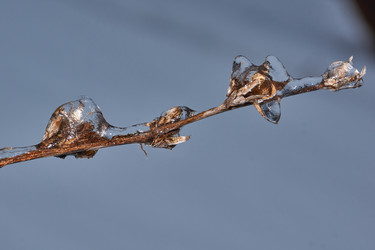 Similar image 21759119