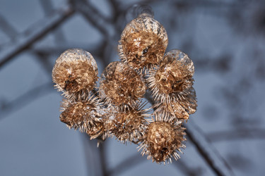 Similar image 21759120