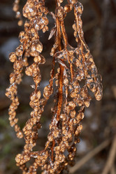 Similar image 21759121