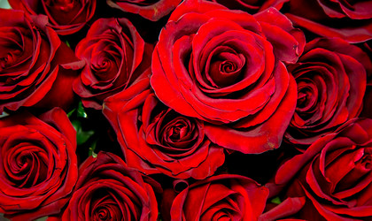 Similar image 21758687