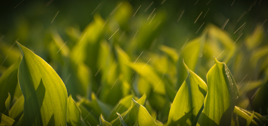 Similar image 21758689