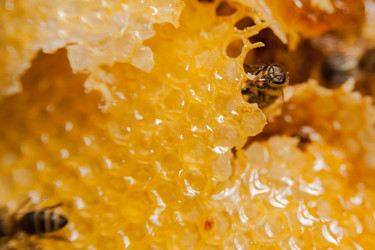 Similar image 21758692