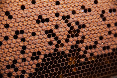 Similar image 21758693