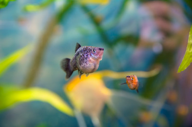 Similar image 21758695