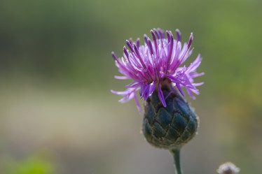 Similar image 21758703