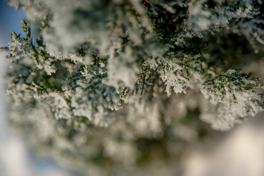 Similar image 21758704