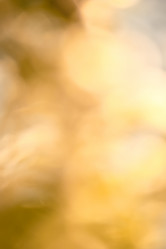 Similar image 21758705