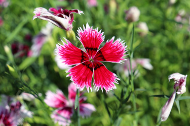 Similar image 21762650