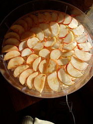 Similar image 21762655