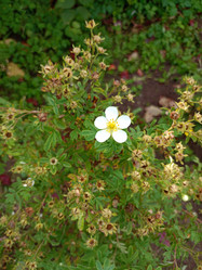 Similar image 21762661