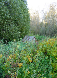 Similar image 21762674