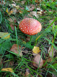 Similar image 21762677