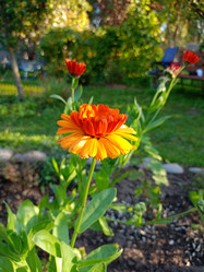 Similar image 21762679