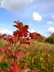 Similar image 21762683