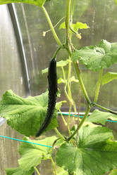 Similar image 21762684