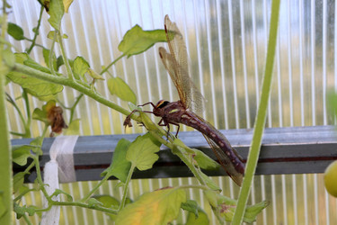 Similar image 21762687