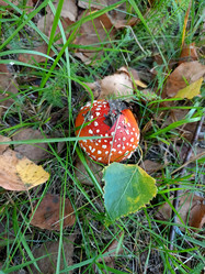 Similar image 21762690