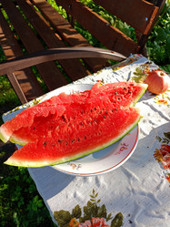 Similar image 21762699