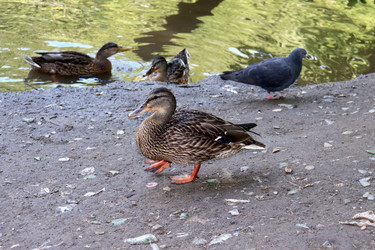 Similar image 21762523