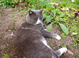 Similar image 21762527