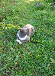 Similar image 21762528