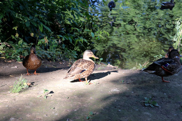 Similar image 21762536