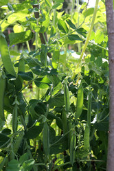 Similar image 21762713