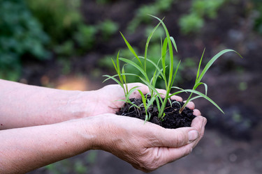 Similar image 21760714