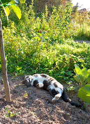 Similar image 21762718