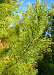 Similar image 21762722