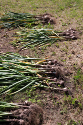 Similar image 21762731