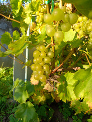 Similar image 21762732