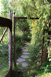 Similar image 21762738