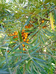 Similar image 21762742