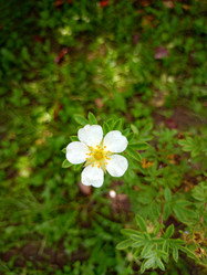 Similar image 21762743