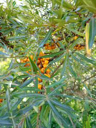 Similar image 21762755