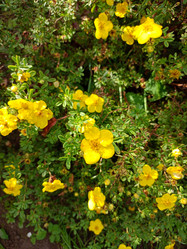 Similar image 21762757