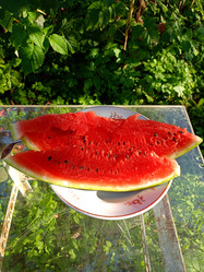 Similar image 21762765