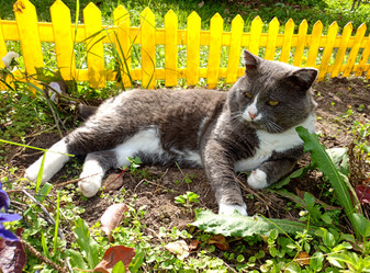 Similar image 21762771