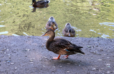 Similar image 21762773