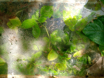 Similar image 21762774