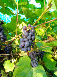 Similar image 21762782